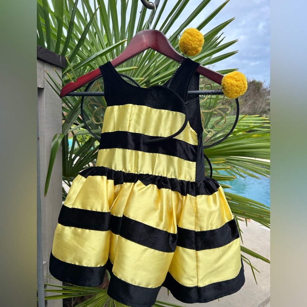 Girls bee costume Dress
